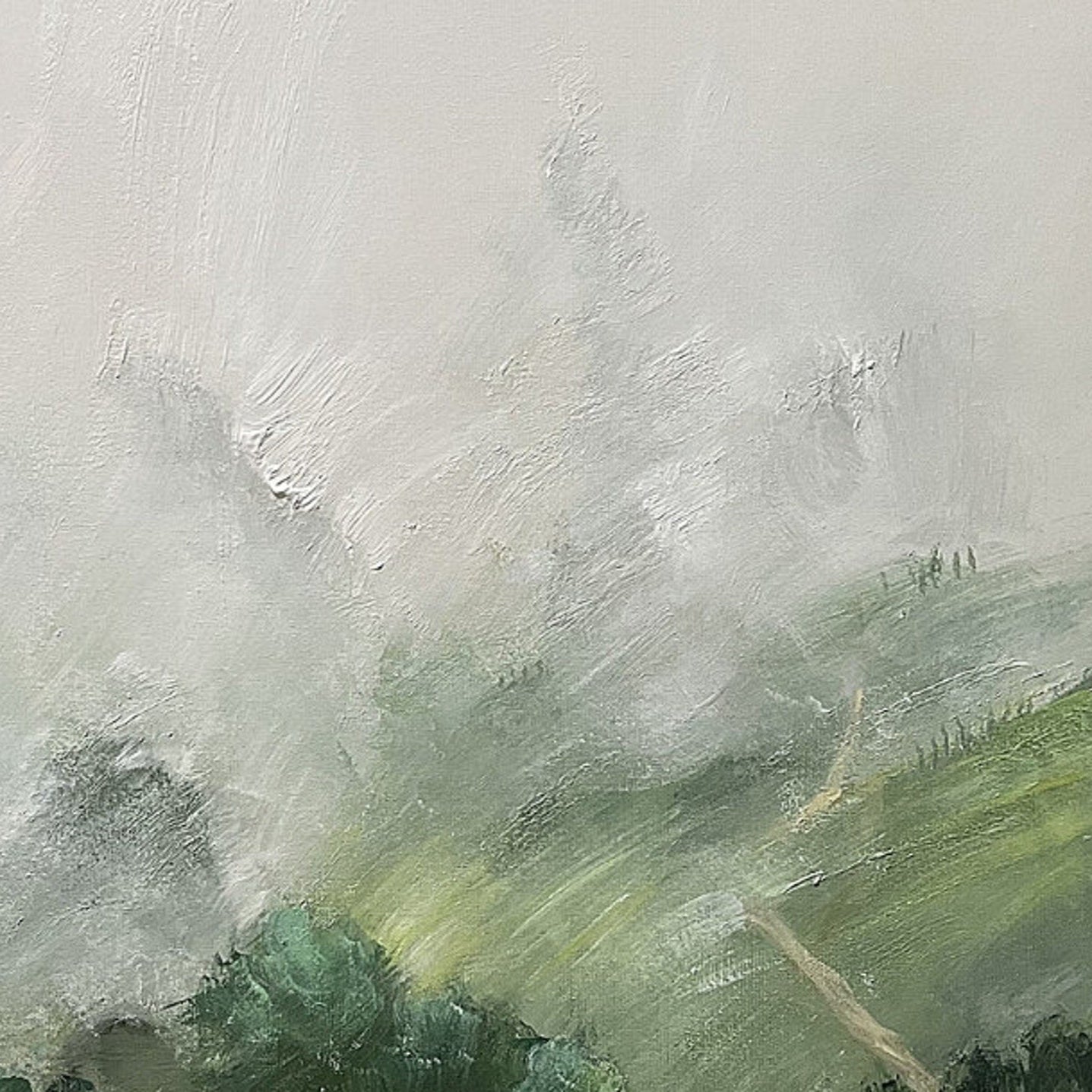 The Deep Stillness of Pine-Covered Ridges