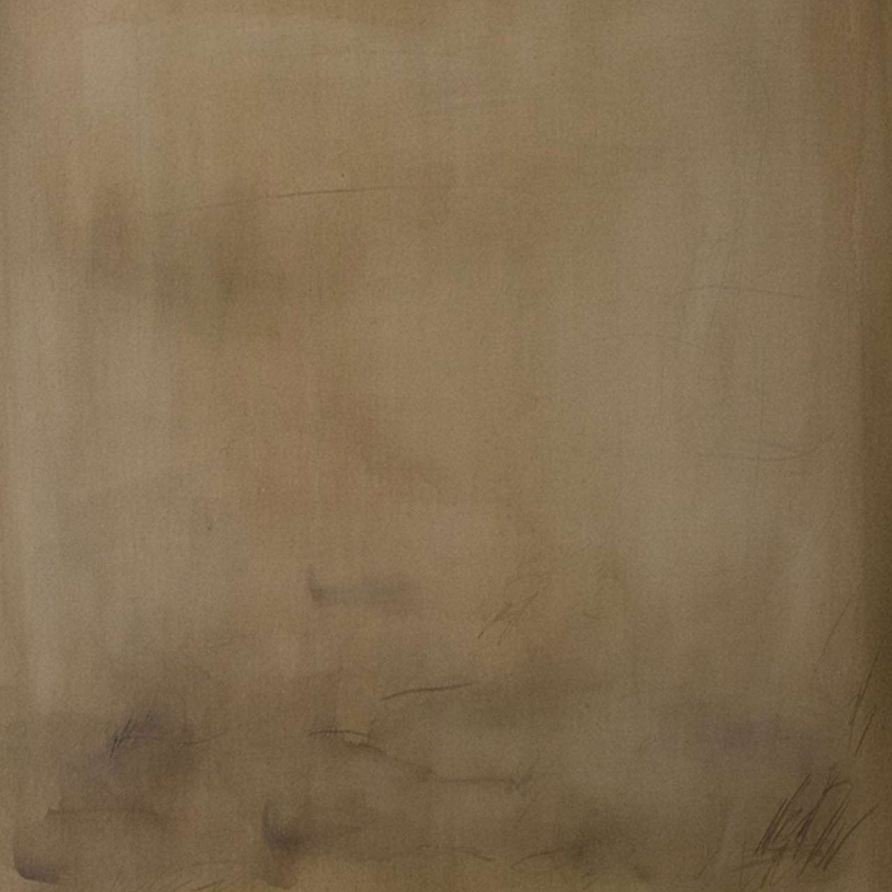 Tree Shadows in the Soil